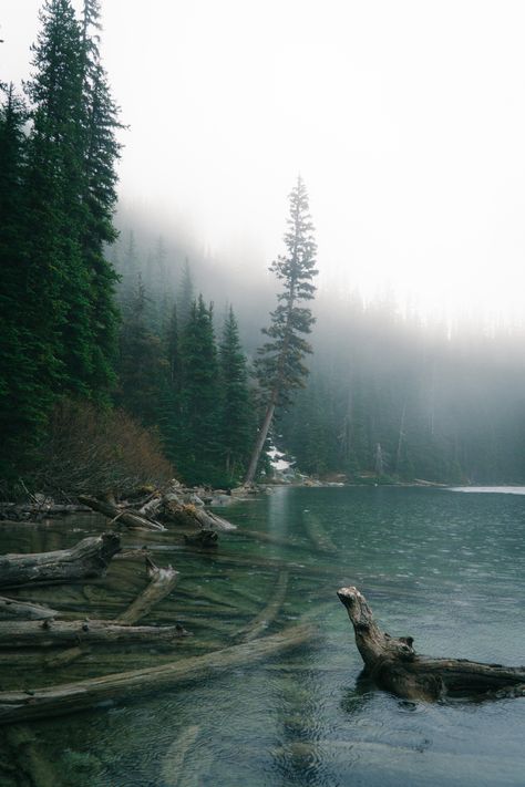 Early Spring Wallpaper, Rainstorm Aesthetic, Dark Spring Aesthetic, Early Spring Aesthetic, Washington Aesthetic, Joffre Lake, Rainy Lake, Lake Aesthetic, Foggy Weather