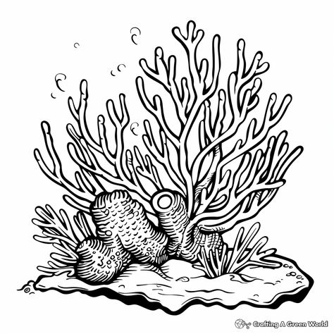 Coral Coloring Pages, How To Draw Coral, Coral Drawing Simple, Coral Reef Tattoo, Coral Reef Drawing, Coral Tattoo, Coral Drawing, Coral Reef Color, Coral Reef Art