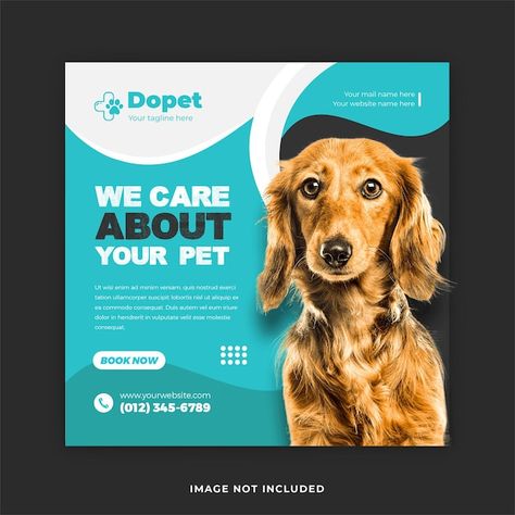 Vector pet training service social media... | Premium Vector #Freepik #vector #pet-hospital #animal-hospital #veterinary-clinic #pet-doctor Vet Graphic Design, Veterinary Design, Dog Clinic, Pet Doctor, Pet Branding, Pet Hospital, Disney Frozen Elsa Art, Pet Vet, Pet Clinic