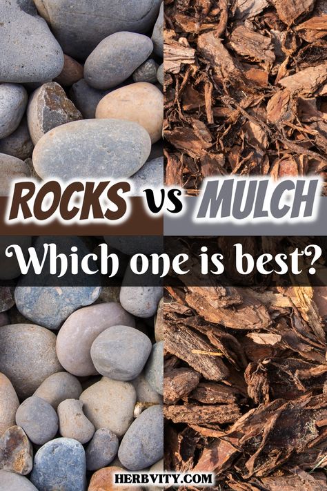 Mulch vs rocks are two main components of gardening. Each has its own benefits and drawbacks. After reading this post, you should have a good idea which one works best for your garden, or if you want to use both. Front House Rock Landscaping, Mulch Over Rock Bed, Rock Or Mulch Landscaping Ideas, Rock Garden Backyard, Stones Landscaping Ideas, Stones In Flower Beds, River Gravel Landscaping Ideas, River Rock In Flower Beds, Outdoor Mulch Ideas