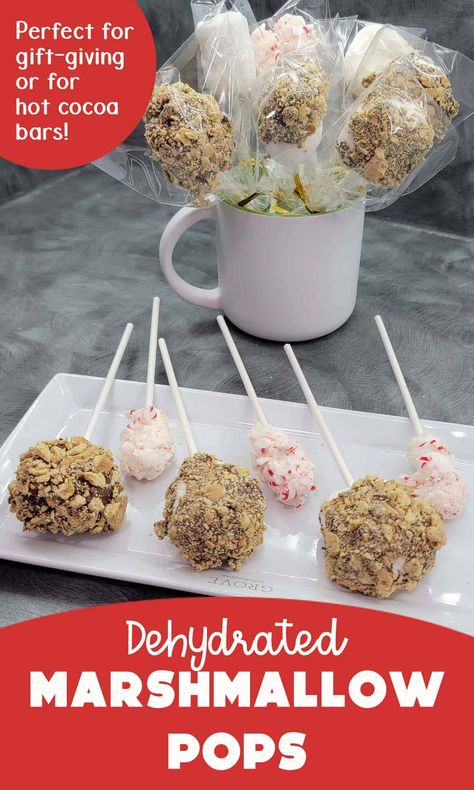 Create dehydrated marshmallow pops for a wonderful Christmas gift basket treat or for a hot chocolate bar. They are easy to do, can store easily, and are the perfect Christmas gift made with your food dehydrator! Fancy Cake Pops, Hot Cocoa Bars, Marshmallow Smores, Fruity Loops, Peppermint Marshmallows, Hot Chocolate Bar, Cocoa Christmas, Peppermint Sticks, Cake Pop Sticks