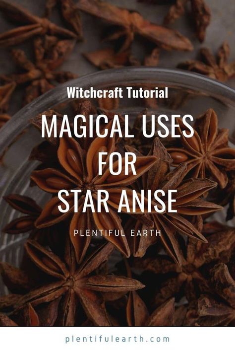 Anise Star Magic, Anise Star Recipes, Magical Properties Of Star Anise, How To Use Star Anise, Star Anise Witchcraft, Spiritual Hobbies, Star Anise Magical Properties, Spell Times, Star Anise Benefits