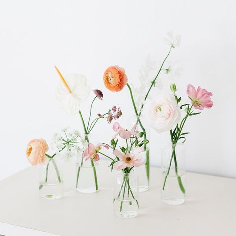 Modern minimalist bud vase arrangements Vases With Flowers, Bud Vases Wedding, Bud Vases Arrangements, Bud Vase Centerpiece, Minimalist Flowers, Wedding Vases, Vase Arrangements, Deco Floral, Utah Wedding