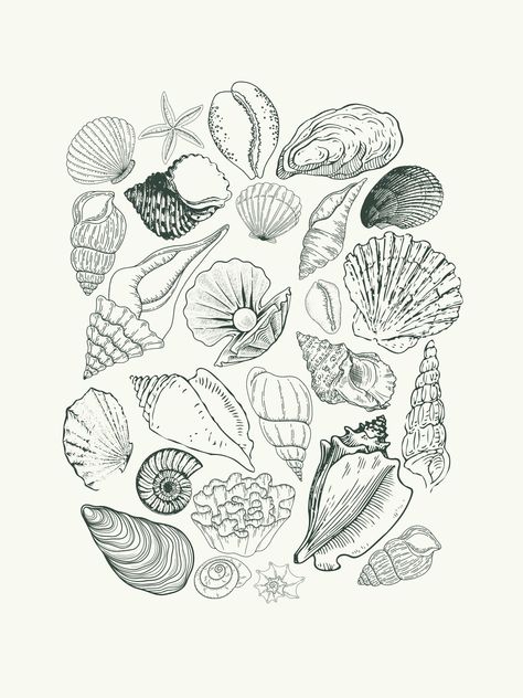 Shells digital print - green Spiral Shell Art, She’ll Display, Tiny Seashell Tattoo, Shell Template, Seashell Illustration, Seashell Tattoos, Surface Pattern Design Inspiration, Shell Tattoos, Prints Ideas