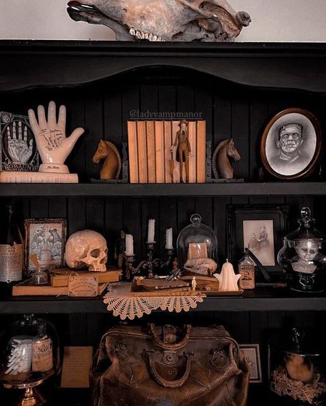 Oddities Shelf Ideas, Gothic Apothecary Decor, Coffin Halloween Decoration, Goth Bookshelf Decor, Spooky Apothecary Display, Diy Coffin Mirror, Goth Shelf Decor, Apothecary Aesthetic Bedroom, Halloween Shelf Styling