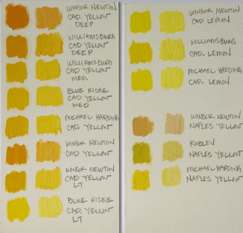 My Full-Color Palette: Cadmium Yellows — Elizabeth Floyd Elizabeth Floyd, Naples Yellow, Yellow Palette, Cadmium Yellow, Oil Painting Supplies, Color Palette Yellow, Earth Pigments, Art Supply Stores, Color Scale