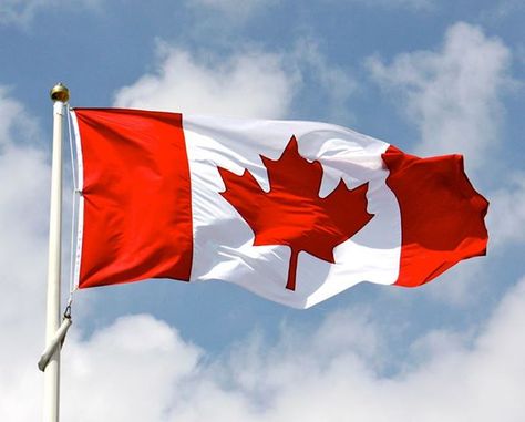 Canadian Flag blowing in the wind Fotos Do Canada, I Am Canadian, Canada Eh, Port Huron, Happy Canada Day, O Canada, Whatsapp Wallpaper, Canadian Flag, Recruitment Agencies