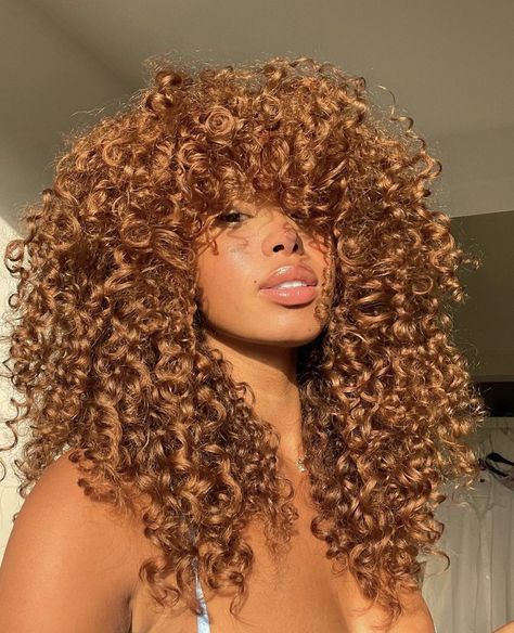 Hair Color Ideas Natural Curly Hair, Colorful Hair Ideas For Black Women, Hair Colors For Light Skin Tones Black Women, Hair Color Ideas Morena Skin, Dyed Black Curly Hair, Curl Hair Colors Ideas, Same Hair Color As Skin, Black Woman Hair Color Ideas, Curly Ginger Hair Black Women