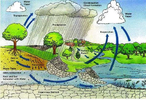 Diagram of water circulation. Hujan Meteor, Water Harvesting, Water From Air, The Water Cycle, Rainwater Harvesting System, Water Barrel, Greenhouse Design, Rain Collection, Water Collection