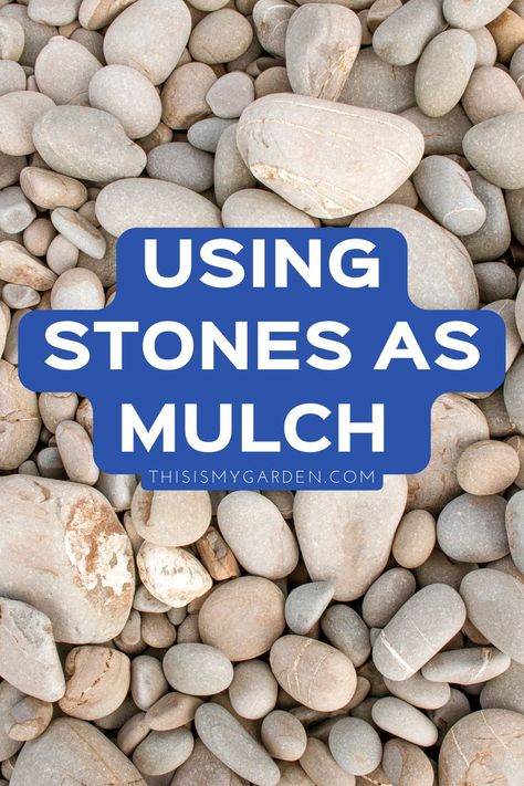 Up close image of small smooth rocks that will be used as ground-covering mulch under trees or shrubs. From thisismygarden.com. Rocks In Flower Bed Landscaping, Stone Mulch, Rock Mulch, Rock Flower Beds, Stone Flower Beds, Garden Mulch, Stone Garden Paths, Front Flower Beds, Mulch Landscaping