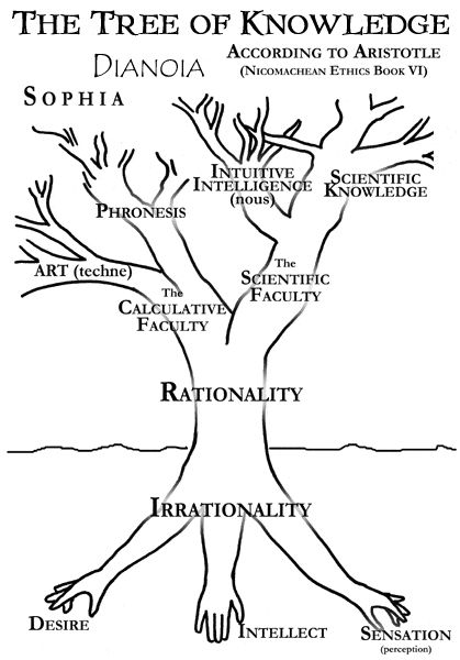 bensozia: Trees of Knowledge The Tree Of Knowledge, The Secret Doctrine, Science Art Projects, Tree Of Knowledge, Healing Spirituality, World Religions, Life Symbol, Life Philosophy, Spiritual Guides