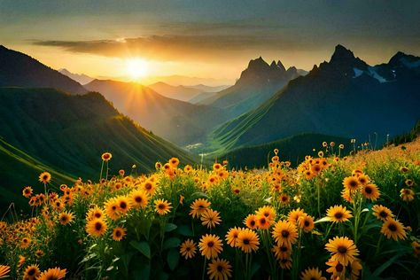 Landscape Images Horizontal, Flower Wallpaper Desktop Hd, Pc Wallpaper 4k Ultra Hd Nature, Ipad Landscape Wallpaper, Mountain Wallpaper Desktop, Wallpapers Sunflowers, Wallpaper Backgrounds Horizontal, Macbook Wallpaper High Quality Landscape, Hd Landscape Wallpaper