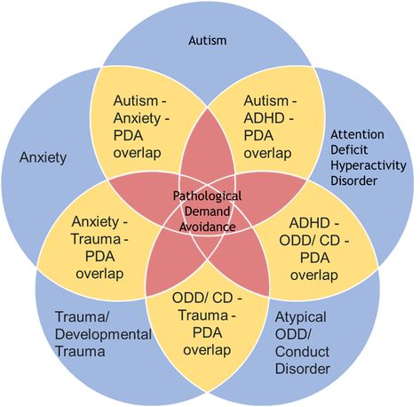 Demand Avoidance, Pathological Demand Avoidance, Positive Communication, Communication Strategies, Conduct Disorder, Building Trust, Child Psychology, Developmental Disabilities, Venn Diagram