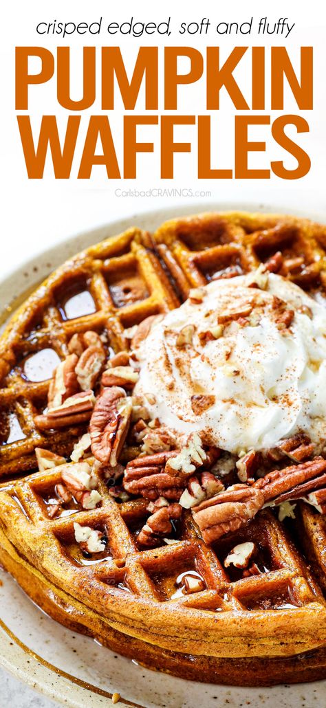 Pumpkin Waffles with warm, cozy fall spices, crisped edges and soft and fluffy interior with pockets of melty chocolate chips! #fallbaking #waffles #breakfast #brunch #breakfastfood #breakfastideas #pumpkinwaffles #pumpkinspice #pumpkin #pumpkinpuree #wafflerecipe #bestwaffles #belgianwaffles #cooking #recipe #breakfastfood Pumpkin Waffles Recipe, Pumpkin Spice Waffles, Waffles Breakfast, Carlsbad Cravings, Waffles Recipe, Pumpkin Waffles, Best Pumpkin, Gluten Free Pumpkin, Cooking Recipe