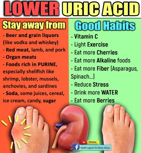 Uric Acid Diet Food, Low Uric Acid Diet, Uric Acid Diet, Purine Diet, Kidney Healthy Foods, Food For Kidney Health, Low Oxalate Diet, Oxalate Diet, Uric Acid Levels