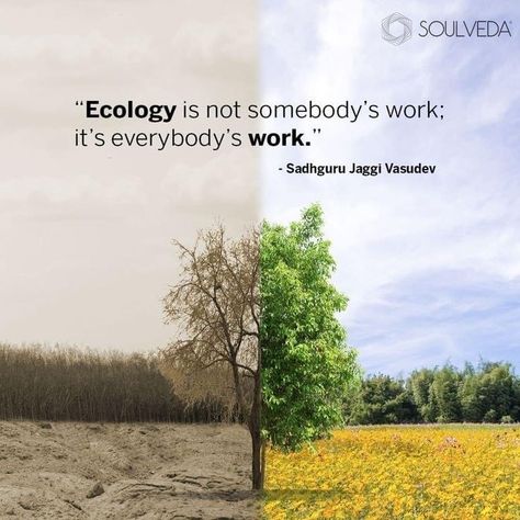 Save Nature Quotes Environment, Quotes About Environment, Save Nature Poster Environment, Save Nature Quotes, Ecofriendly Quotes, Ecology Quotes, Upsc Quotes, Recycling Quotes, Solution Quotes