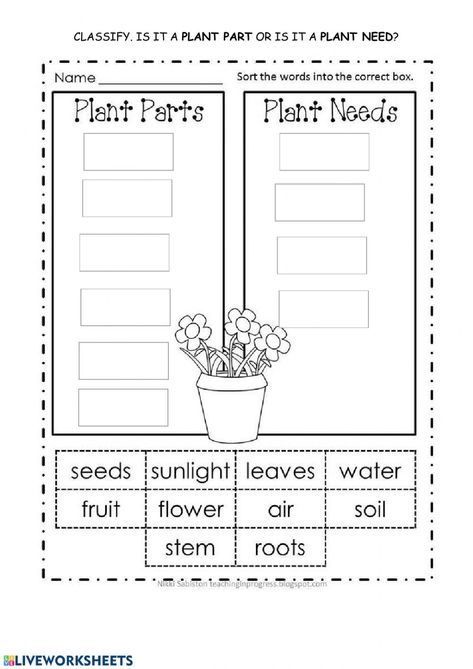 Importance Of Plants Worksheet, Parts Of A Plant Worksheet Grade 1, Plant Lifecycle Worksheets, What Do Plants Need To Grow Worksheets, Life Cycle Of A Plant Worksheet, Parts Of The Plants Activities For Kids, Plants Need Worksheet, Plant Parts Activities, Parts Of Plant Worksheet