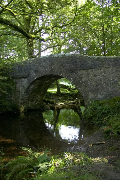 Stone bridge in Dartmoor, Devon Cycle past this on our tours in the area - http://www.the-carter-company.com/where/devon-and-cornwall/cycling-holidays/ Cobblestone Bridge, Dartmoor Devon, Lake Berryessa, Old Bridges, E Bikes, Dartmoor National Park, The Carter, Devon And Cornwall, Stone Bridge