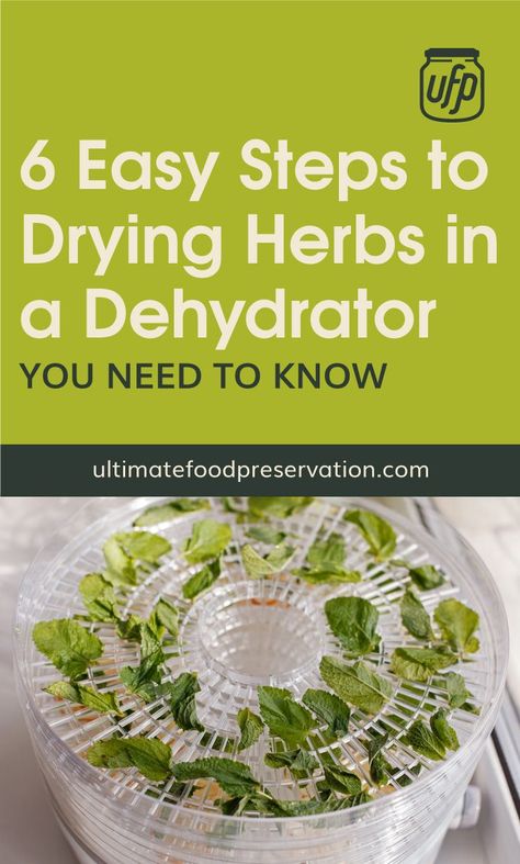 Dehydrate Herbs, Dehydrating Food Storage, Drying Fresh Herbs, Food Dehydration, Dehydrated Vegetables, Dry Herbs, Canning Food Preservation, Dehydrated Fruit, Dehydrated Food