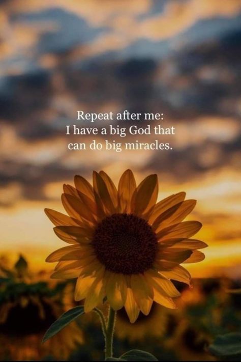 Bible Lock Screens, Bible Basics, God Is Great, Repeat After Me, Princess Quotes, Pray For Peace, Gods Love Quotes, Spiritual Love, Awesome God