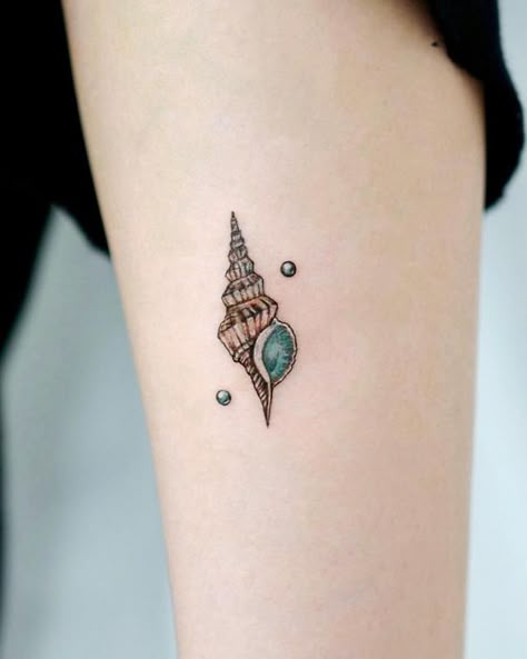 Ocean Tattoo Design, Tattoo Ideas Ocean, Ocean Tattoo Ideas, Ocean Theme Tattoos, Seashell Tattoo, Tattoo Ideas Minimalist, Beachy Tattoos, Skulls Tattoo, Seashell Tattoos