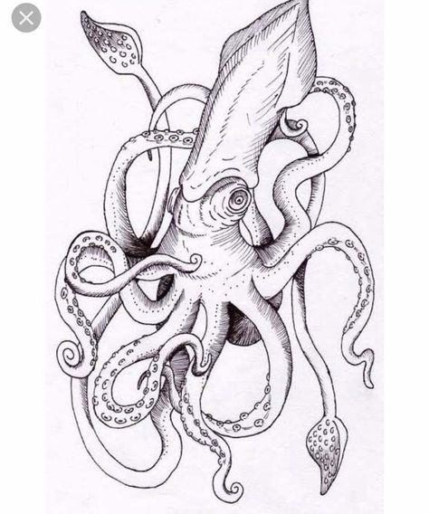 Kraken Drawing, Squid Drawing, Kraken Tattoo, Squid Tattoo, Octopus Tattoo Design, Octopus Tattoos, Octopus Tattoo, Octopus Art, Tattoo Stencil Outline