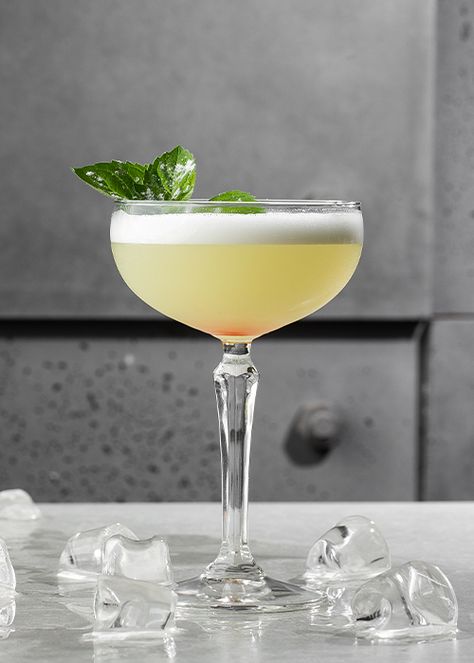 Sophisticated Cocktails, Cocktail Images, Cocktail Trends, Most Popular Cocktails, Popular Cocktails, Top Cocktails, Cocktail Serving, Tiki Drinks, Spring Cocktails