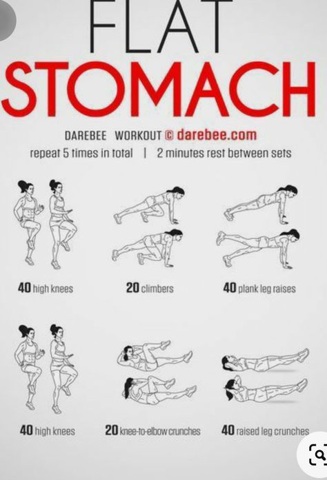 Flat Tummy Workout, Flat Stomach Workout, Fast Workouts, High Intensity Cardio, Workout Plan For Beginners, Tummy Workout, Workout For Flat Stomach, Leg Raises, Flat Tummy