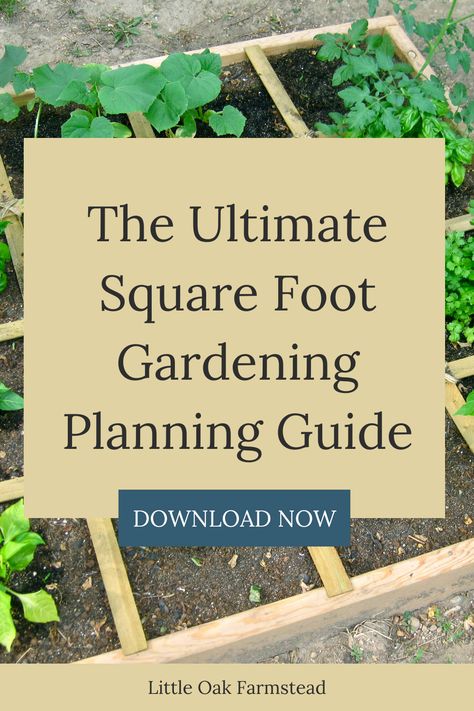 Square Metre Vegetable Garden, 4x6 Garden Layout, Garden Grid Layout, 3x3 Garden Layout, Square Foot Gardening Layout 4x8, 12x12 Garden Layout, Intensive Gardening Layout, 4x8 Raised Bed Garden Layout, 4x8 Garden Bed Plan