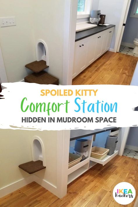 e decided to use the SEKTION cabinets, but instead of storage, they turned into a multi-cat comfort station (cat box haven). It's the perfect DIY littler box for cats. Spoiled kitty comfort station hidden in mudroom space - IKEA Hackers Multi Cat Litter Box Ideas Hidden Diy, Built In Cat House, Mudroom Cat Area, Custom Cat Litter Cabinet, Kitchen Cat Food Station, Kitty Litter Storage Ideas, Cat Space In Laundry Room, Pet Cabinet Ideas, Cat Box Storage Ideas