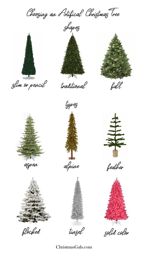 shapes and styles of Christmas trees Christmas Tree Types, Rustic Christmas Tree Decor, Different Christmas Trees, Types Of Christmas Trees, Christmas Tree Shape, Christmas Tree Decor Ideas, Shape Chart, Tree Decor Ideas, Faux Christmas Trees