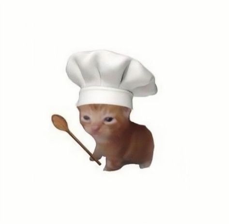 Cooking Meme, Meme Chat, Cooking Icon, Cat Drawing Tutorial, Superflat, Cat Loss, Silly Cats Pictures, Cat Icon, Silly Animals