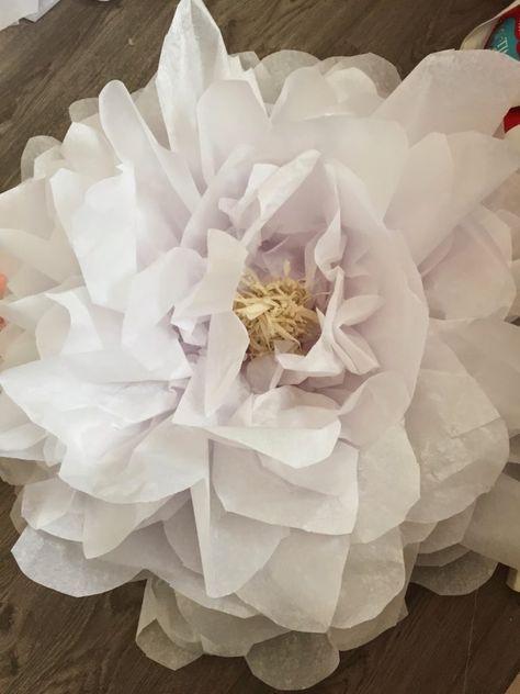 Giant Tissue Paper Flowers, Flowers Party Decor, Big Paper Flowers, Giant Paper Flowers Diy, Tissue Paper Craft, Tissue Paper Flowers Diy, Tissue Paper Crafts, Tissue Flowers, Easy Paper Flowers