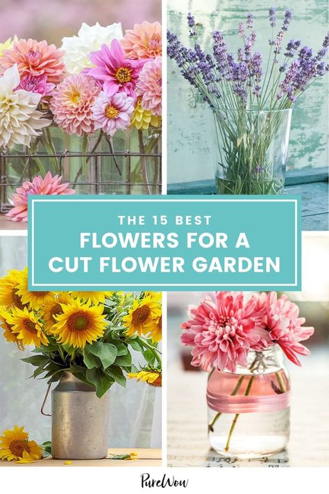 The 15 Best Blooms for a Cut-Flower Garden (So You Can Create Your Own Bouquets at Home) Flower Garden Layouts, Cut Garden, Growing Cut Flowers, Flower Garden Plans, Cut Flower Farm, Flower Farmer, Cut Flower Garden, Wildflower Garden, Flower Stand