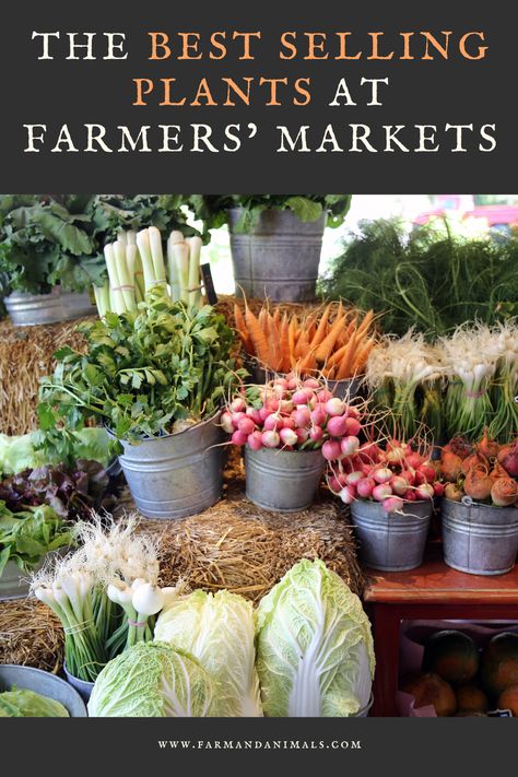 Farm Market Ideas, Selling Plants, Farmers Market Stand, Farmers Market Booth, Farmers Market Display, Farmers Market Recipes, Stone Sculptures, Organic Market, Farm Business