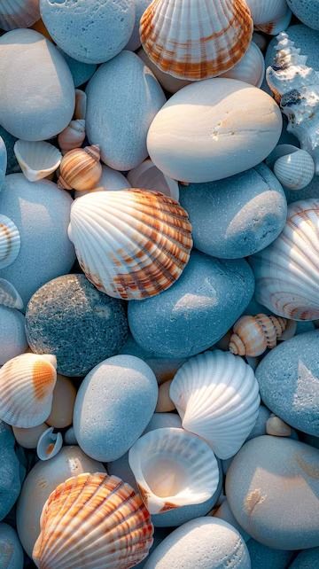 Premium Photo | Seashells on Rocks Generative AI Sea Shell Photography, Seashell Photo, Shell Photo, Supermarket Design Interior, Texture Board, Sea Stones, Beach Shells, Supermarket Design, Wallpapers For Mobile Phones