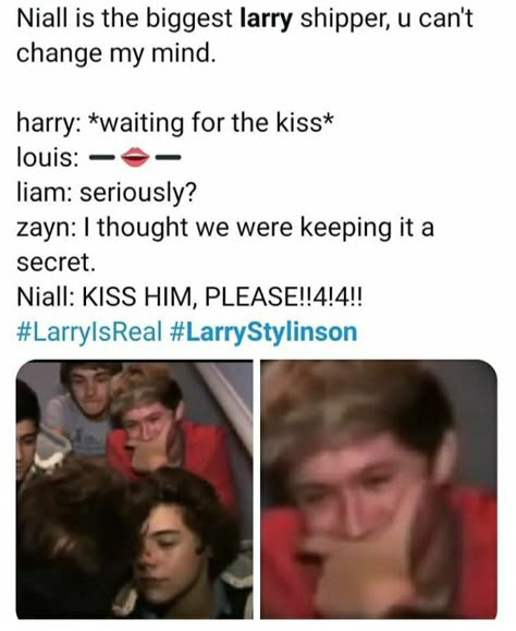 One Direction Drawings, Larry Shippers, Harry 1d, Louis (one Direction), One Direction Harry, One Direction Humor, One Direction Memes, It's A Secret, Louis And Harry