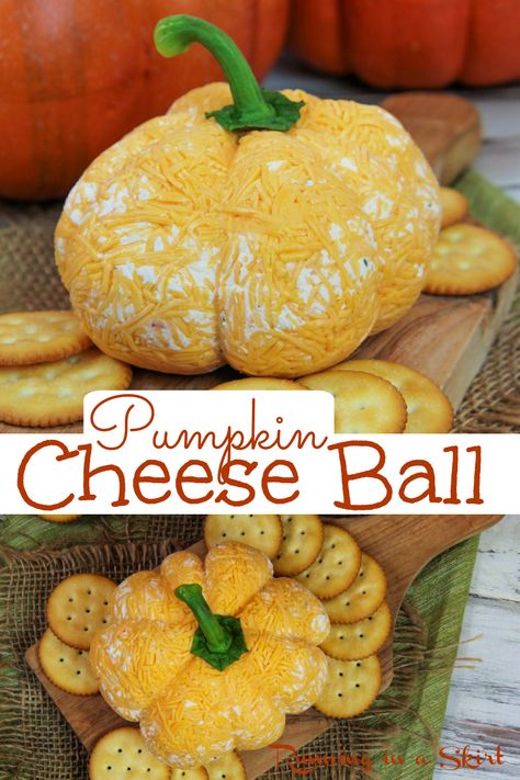 Pumpkin Cheese Ball recipe for fall, Thanksgiving or Halloween. An easy ranch cheeseball with instructions on how to make a pumpkin shape. It's easy, fun, and such a fun addition to a charcuterie board or appetizer spread. This adorable pumpkin shaped cheeseball will be the hit of your party! Pumpkin Cheese Ball Recipe, Ranch Cheeseball, Pumpkin Cheese Ball, Homemade Ranch Seasoning, Cheese Ball Recipe, Fall Appetizers, Savory Cheese, Cheese Pumpkin, Charcuterie Inspiration