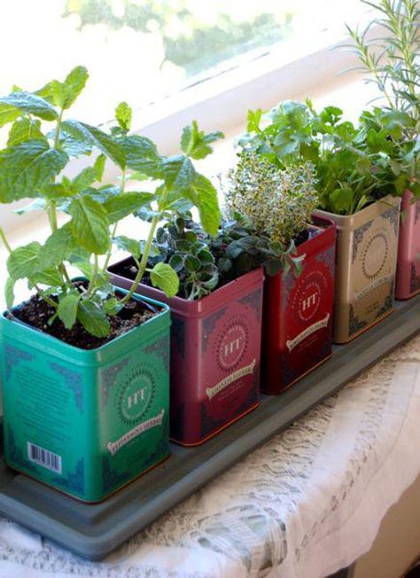 11 Indoor Gardening Hacks for Spring, No Yard Required - Brit + Co Apartment Herb Gardens, Jardim Diy, Herb Garden In Kitchen, نباتات منزلية, Herb Garden Design, Vertical Herb Garden, Kitchen Herbs, Indoor Herb Garden, Herbs Indoors