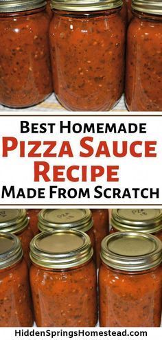 Pizza Sauce From Scratch, Make Homemade Pizza, Pizza Vegetariana, Resep Pizza, Pizza Roll, Home Canning Recipes, Best Homemade Pizza, Canning Vegetables, Pizza Sauce Recipe