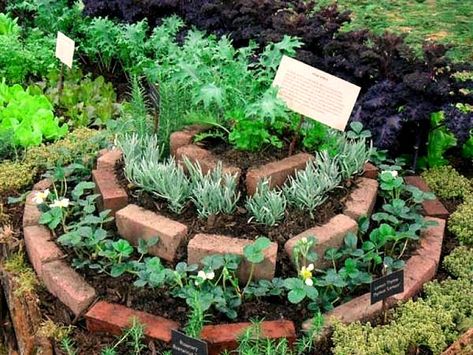 Kebun Herbal, Spiral Garden, Landscape Gardening, Brick Garden, Herb Garden Design, Potager Garden, Recycled Garden, Garden Edging, North London