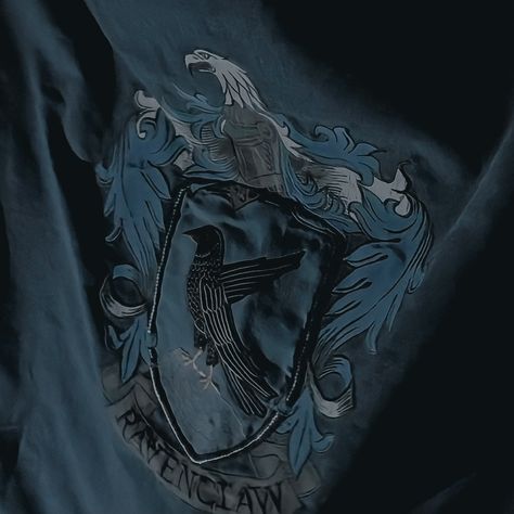 Ravenclaw Common Room, Ravenclaw Pride, Harry Potter Oc, Widget Board, Barty Crouch Jr, Ravenclaw Aesthetic, Ravenclaw House, The Great Hall, Harry Potter Ravenclaw