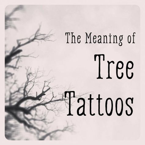 Tattoo Of Tree Of Life, Small Tree Tattoos For Women, Tree Of Life Tattoo For Women, Tattoos Meaning Strength, Small Nature Tattoo, Tree Meanings, Tree Tat, Tree Tattoo Meaning, Pine Tattoo