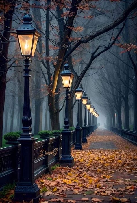 Night Time Scenery, Fashion Shop Interior, Autumn Pictures, Colour Pictures, Fall Pics, Wallpaper Fall, Autumn Evening, Lamp Posts, Holiday Images