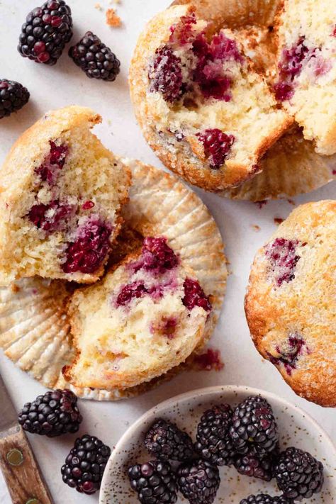 These easy blackberry buttermilk muffins can be made with fresh or frozen berries, and with only one bowl! The buttermilk provides a subtle tang and a tender crumb, complemented by lemon zest and vanilla. Leftover Buttermilk, Blackberry Muffin Recipe, Blackberry Muffins, Blackberry Muffin, Buttermilk Muffins, Vanilla Muffins, Moist Muffins, Blackberry Recipes, Berry Muffins