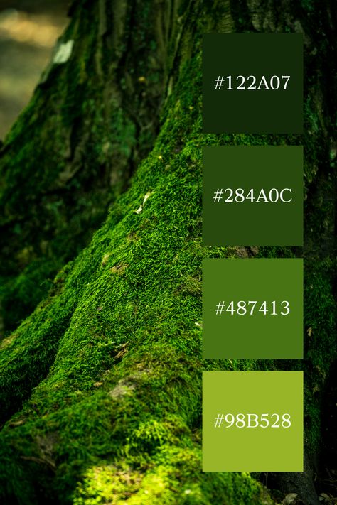 Enchanted Forest Moss: A close-up of a tree trunk blanketed in lush green moss, showcasing the rich, deep hues of a moss green color palette. Enchanted Forest Color Palette, Moss Color Palette, Moss Green Color Palette, Forest Color Scheme, Forest Green Color Scheme, Jungle Color Palette, Color Palette Forest, Forest Color Palette, Color Scheme Generator