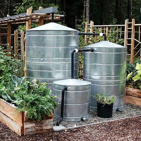 Water Harvesting, Drip System, Rain Barrels, Rain Collection, Wildlife Garden, Rainwater Harvesting, Water Collection, Rain Barrel, Garden Area