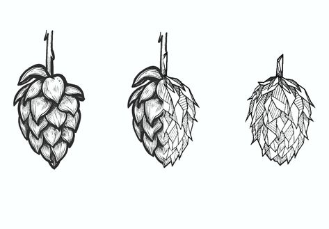 Beer Hop Tattoo, Beer Tattoo, Wheat Tattoo, Hop Tattoo, Hops Vine, Beer Tattoos, Beer Hops, Flash Sheet, Tattoo You