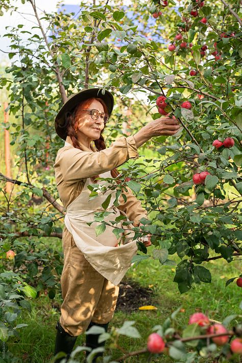 Random Refrences, Picking Fruit, Eve Art, Apple Garden, Picking Apples, People Reference, Apple Photo, In Her Garden, Picture Board