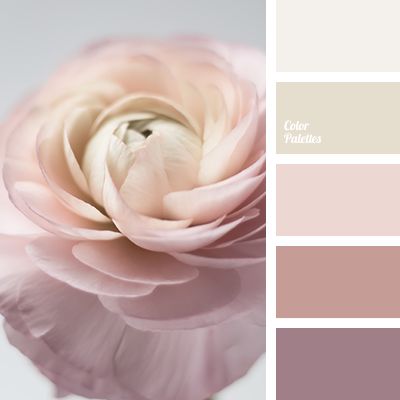 Warm Palettes | Page 3 of 158 | Color Palette Ideas In Color Balance, Color Palette Ideas, Wall Living Room, Color Schemes Colour Palettes, Warm Palette, Palette Ideas, Color Palette Pink, Design Seeds, Color Palette Design